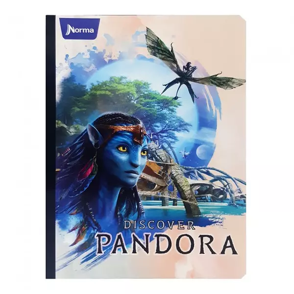 Cuadernos De Avatar